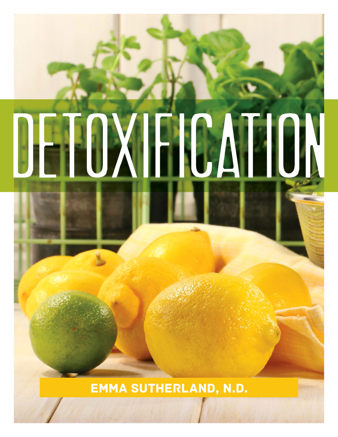 detoxification-studio-you